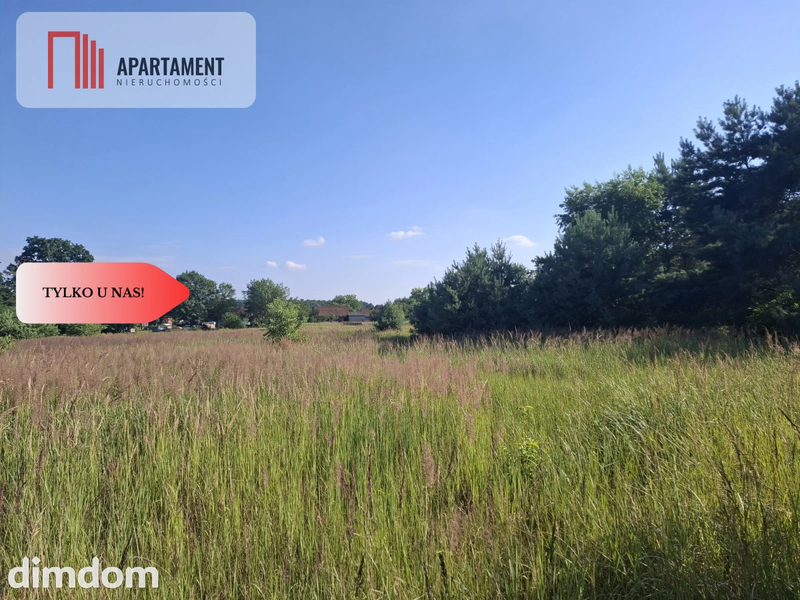 Działka 5100 m2 w Dolinie Baryczy - dd_18eeaa1f_zs_352644_1.jpg