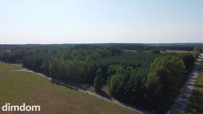 Dom na dużej działce w Świesielicach gm. Ciepielów - 4