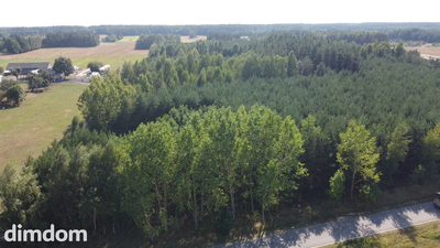 Dom na dużej działce w Świesielicach gm. Ciepielów - 5