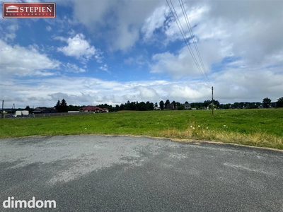 Teren inwestycyjny 12 500 m² przy DK94 i A4 - 4