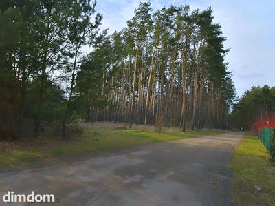 Piękna działka blisko lasu, Miłoszyce - 5