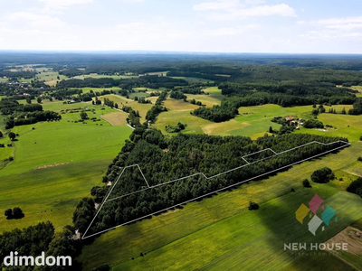 Wyjątkowa działka 2,73 ha – MPZP, siedlisko, motel - 4