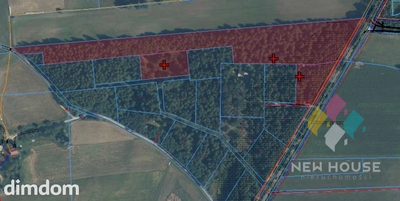 Wyjątkowa działka 2,73 ha – MPZP, siedlisko, motel - 5