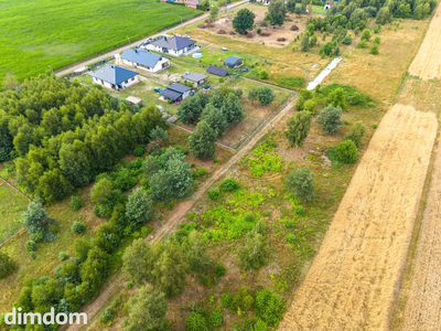 Ziemia tańsza niż garaż? Rasy: 10 arów za 60 tys! - 4