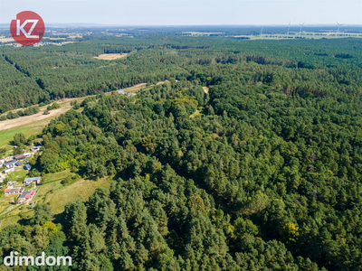 Działki na sprzedaż w Chodzieży - idealne miejsce dla inwestorów i miłośników natury. - 2