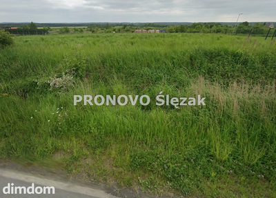Działka budowlana 18 arów, Strupina, blisko PKP - 4