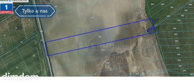 4,41 ha | Kl. III i IV | Gmina Przyrów - 3