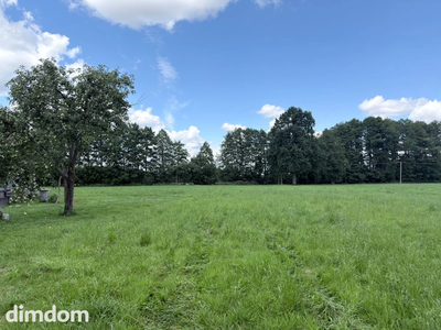 Działka z MPZP w Paproci koło Nowego  Tomyśla - 4