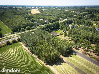 Dom w otoczeniu lasu? Ta działka spełnia marzenia - 2
