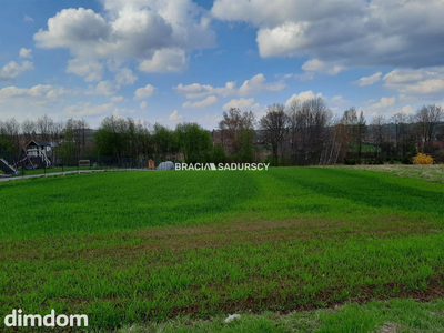 na sprzedaż działkę o powierzchni 2900 m2