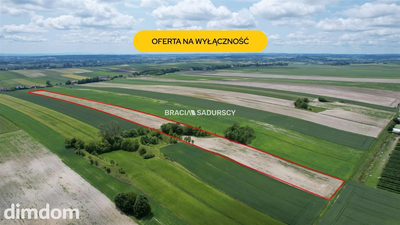 Działka rolna o pow. 3 ha - Prandocin-Iły