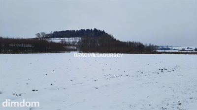 Działka budowlana Polekarcice - 3