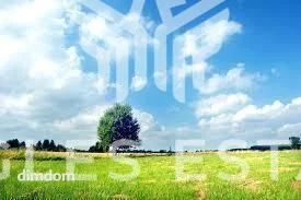 Działka z WZ Wola Rafałowska 19 ar - 5