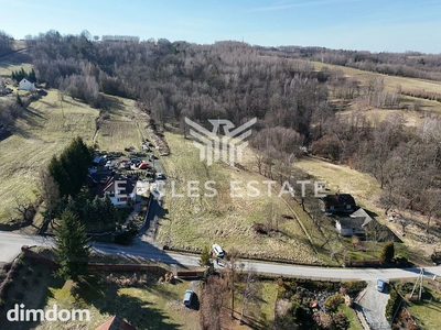 Cisza, natura i miasto w jednym - 3