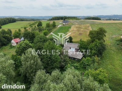 Działka siedliskowa 50 arów z prywatnym lasem - 5