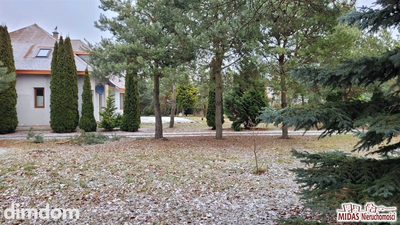 Rezydencja 330m2, 7 pokoi, działka 7100m2 ! - 4