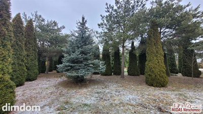 Rezydencja 330m2, 7 pokoi, działka 7100m2 ! - 5