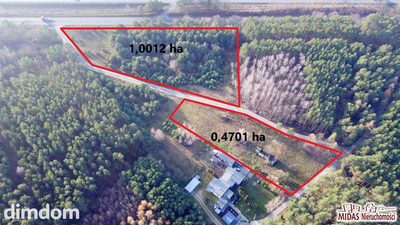 Działka w otoczeniu lasu