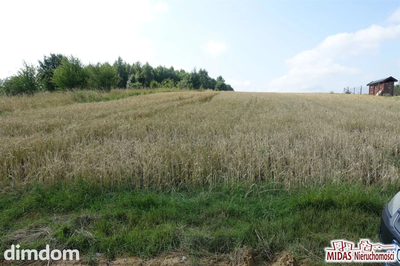 DZIAŁKA W KOWALU!!! - 2