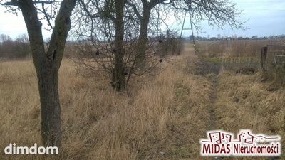 Dzialka 3260m2 w Brześciu Kuj. - 2