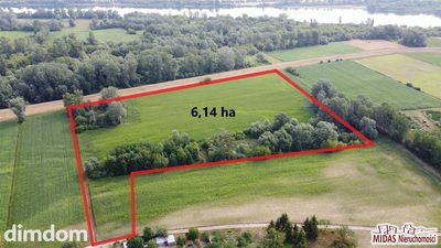 6 hektarowa działka na obrzeżach Ciechocinka
