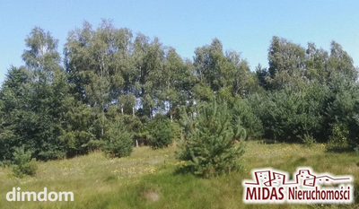 Działka 2692m2 w otoczeniu lasu , blisko jeziora!
