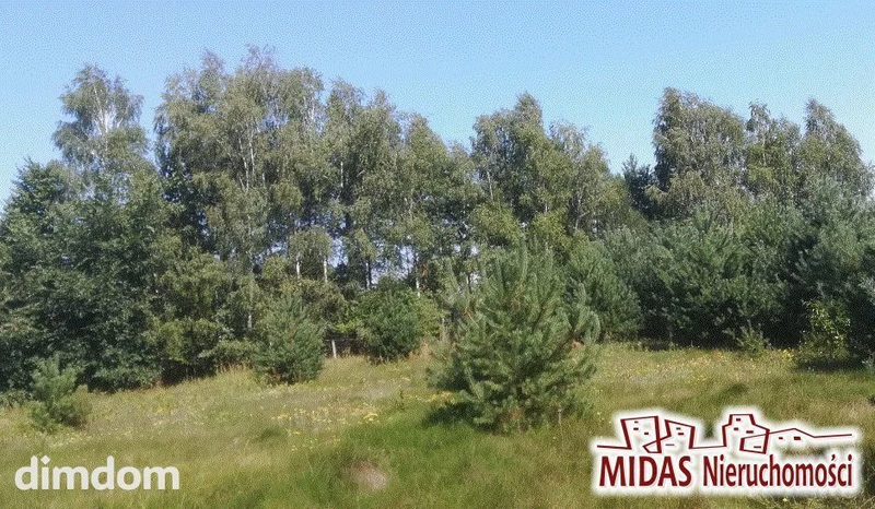 Działka 2692m2 w otoczeniu lasu , blisko jeziora! - dd_2ce287ac_zs_MDS-GS-4747_1.jpg