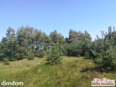 Działka 2692m2 w otoczeniu lasu , blisko jeziora! - 2