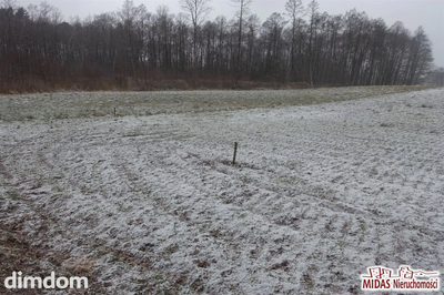 Działki z warunkami zabudowy