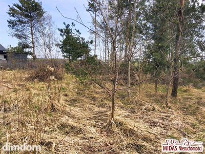 Działka 1000m2 z warunkami zabudowy w Bogucinie ! - 4