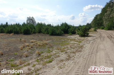 Działka 1518m2,okolice Włocławka tylko teraz 60000 - 3