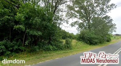 Działka 10600 m2 w Rzeżewie gm. Lubień Kuj! - 3