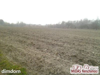 3,38 ha w okolicy Zalesia gm. Chodecz