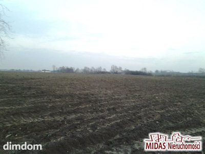 3,38 ha w okolicy Zalesia gm. Chodecz - 3