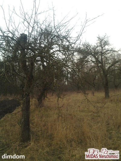3,38 ha w okolicy Zalesia gm. Chodecz - 4