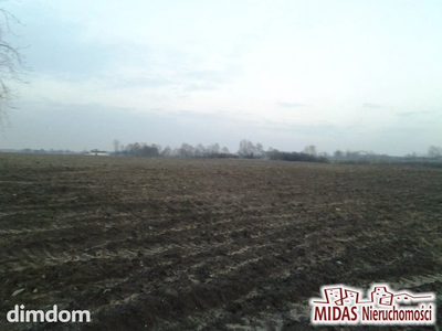 3,38 ha w okolicy Zalesia gm. Chodecz - 2