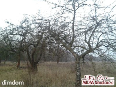 3,38 ha w okolicy Zalesia gm. Chodecz - 5