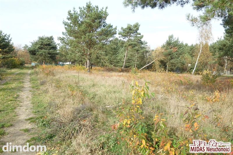 Działka w Smólniku !!! - dd_2ce287ac_zs_MDS-GS-4308-3_1.jpg