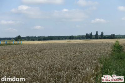 Oferujemy do sprzedaży  działkę o powierzchni 1193m 2 , klasoużytek RIVa, RIVb, RV, usytuowana w województwie kujawsko - pomorskim, powiat Włocławek, gmina Kowal, obręb Grodztwo. Działka w kształcie…