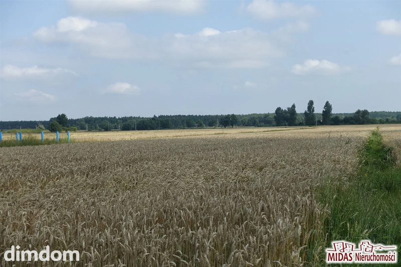 Oferujemy do sprzedaży  działkę o powierzchni 1193m 2 , klasoużytek RIVa, RIVb, RV, usytuowana w województwie kujawsko - pomorskim, powiat Włocławek, gmina Kowal, obręb Grodztwo. Działka w kształcie… - dd_2ce287ac_zs_MDS-GS-3754_1.jpg