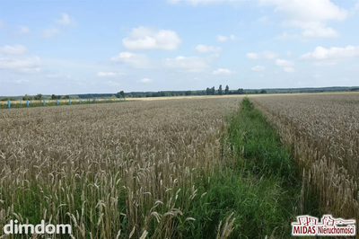 Oferujemy do sprzedaży  działkę o powierzchni 1193m 2 , klasoużytek RIVa, RIVb, RV, usytuowana w województwie kujawsko - pomorskim, powiat Włocławek, gmina Kowal, obręb Grodztwo. Działka w kształcie… - 2