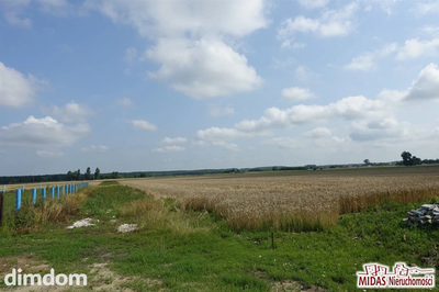 Oferujemy do sprzedaży  działkę o powierzchni 1193m 2 , klasoużytek RIVa, RIVb, RV, usytuowana w województwie kujawsko - pomorskim, powiat Włocławek, gmina Kowal, obręb Grodztwo. Działka w kształcie… - 3