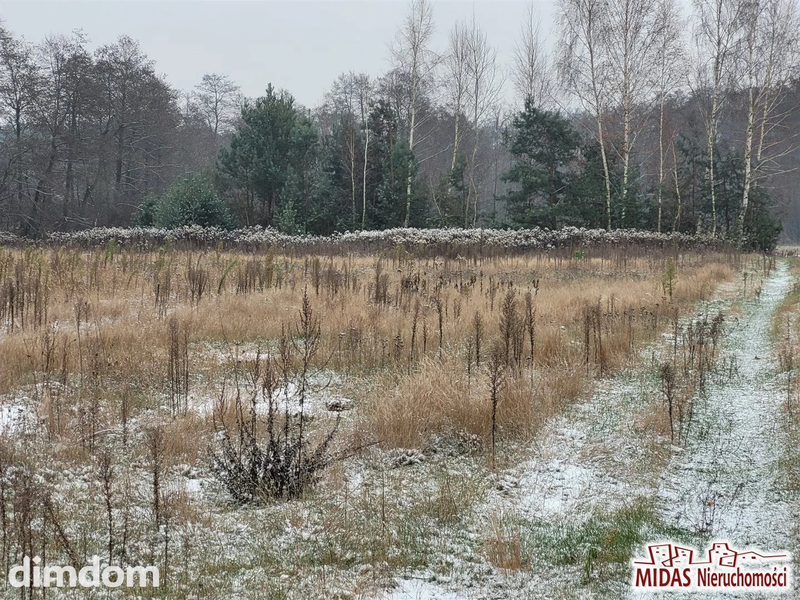 Działka budowlana w dobrej cenie - dd_2ce287ac_zs_MDI-GS-4334_1.jpg