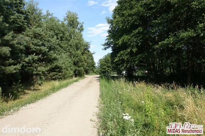 Działki nad Jeziorem Orłowskim