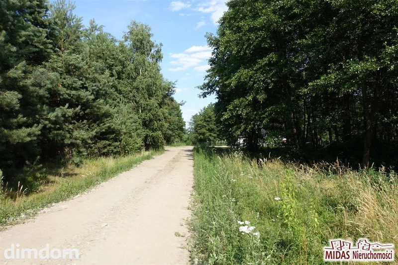 Działki nad Jeziorem Orłowskim - dd_2ce287ac_zs_MDS-GS-4633-5_1.jpg
