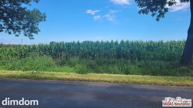 działka 3,8 ha w Krojczynie z warunkami zabudowy! - dd_2ce287ac_zs_MDS-GS-5379_1.jpg