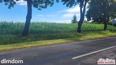 działka 3,8 ha w Krojczynie z warunkami zabudowy! - 4