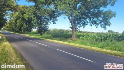 działka 3,8 ha w Krojczynie z warunkami zabudowy! - 5