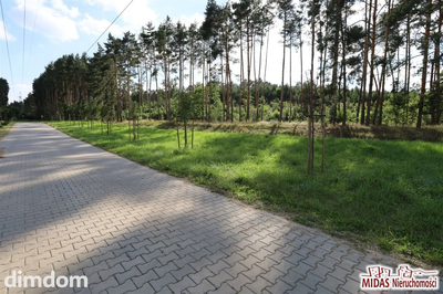 Działka budowlana przy lesie przy granicy Torunia - 2