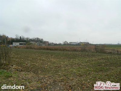 DZIAŁKA UNISŁAWICE 80000